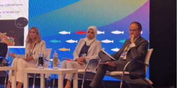 The Barr Aman Initiative provides financial assistance and protective equipment to small fishing boats in Egypt