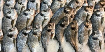 AI and the environment the main consumer trends in 2024