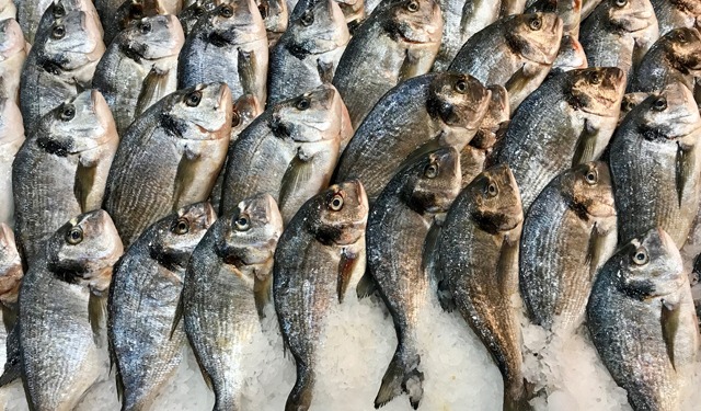 AI and the environment the main consumer trends in 2024