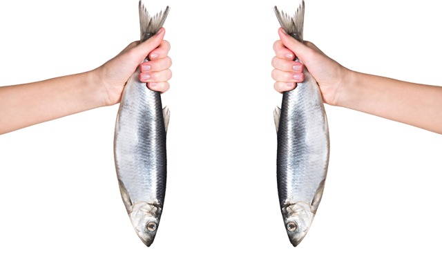 How resilient are fisheries and aquaculture?