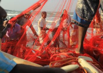 Oceans Futures platform against climate related fishing conflicts