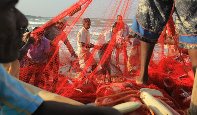 Oceans Futures platform against climate related fishing conflicts