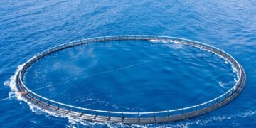 Revolutionizing Aquaculture: Transforming Waste into Sustainable Feed Solutions