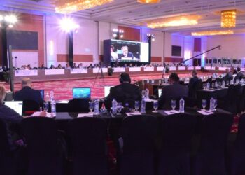 Shark League Celebrates Conservation Progress in the Atlantic Despite Cautionary Concerns