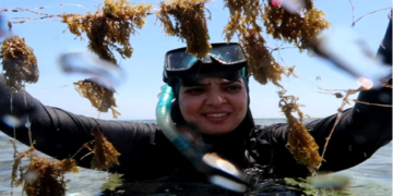 Dr. Sarah Hamdy Leading the Way in Seaweed and Algae Studies for a Sustainable Future