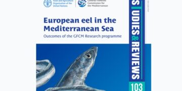 FAO-GFCM report The European eel in the Mediterranean Sea