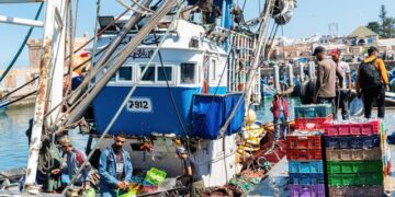 In Morocco, Octopus Fishing Postponed