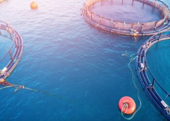 Innovative circular waste management project in aquaculture