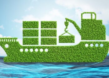 Is there a future for biofuels in the EU