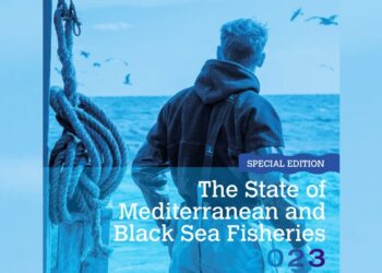 Less overfishing in the Mediterranean and Black Sea