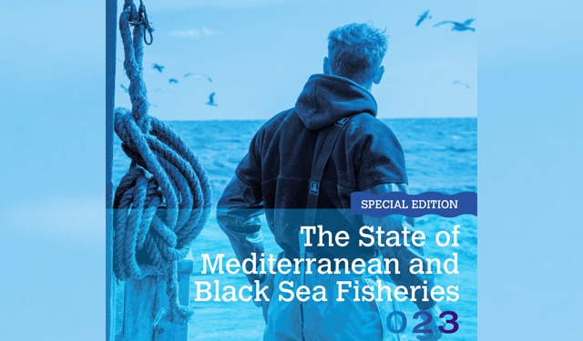 Less overfishing in the Mediterranean and Black Sea