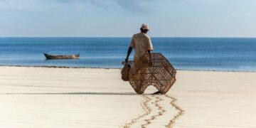 Million dollar investment in mariculture to feed Kenya