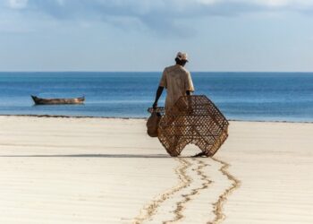 Aquaculture Advancements in Africa: Unleashing Potential, Overcoming Challenges, and Kenya's Commitment