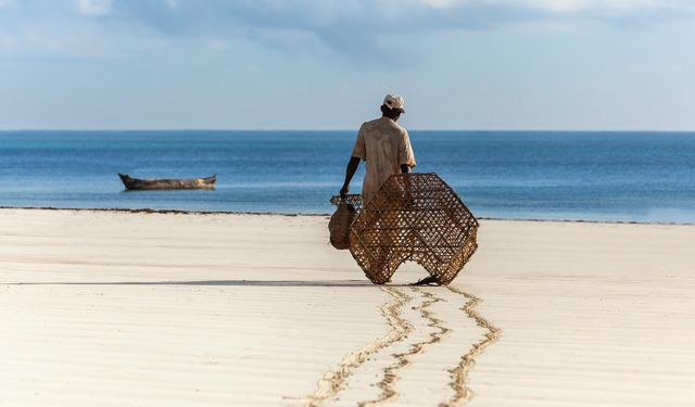 Aquaculture Advancements in Africa: Unleashing Potential, Overcoming Challenges, and Kenya's Commitment
