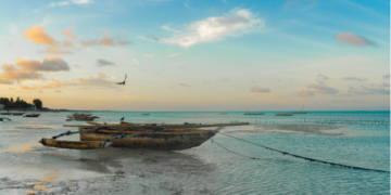 Call for papers on fish safety, technology and marketing in Africa