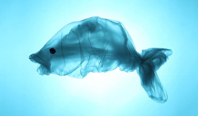 Everything we eat contains microplastics
