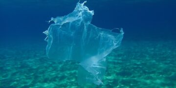 What is the impact of biodegradable plastic in the oceans