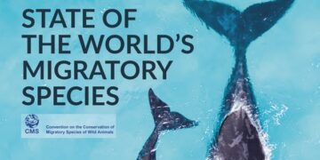 97% of migratory fish species at risk of extinction