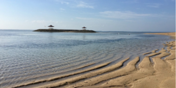 Revitalizing the Western Indian Ocean Conservation Triumphs in Wetland Restoration