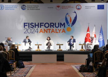 Spotlight on Fish Forum 2024