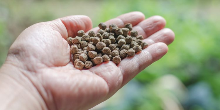 Alternative nutrition in aquaculture requires a complementary approach