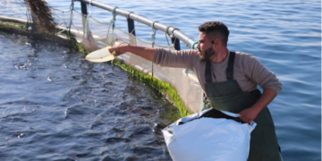 Aquaculture Africa 2024 Conference scheduled for Tunisia in November 2024