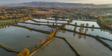 Aquaculture: key to food self-sufficiency in Africa