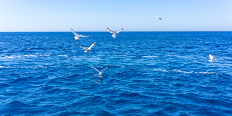 Climate change and its impact on European seas