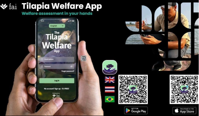 FAI Farms launch the Tilapia Welfare Project to Enhance Care and Sustainability in Egypt