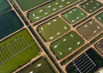 From TNC a guide to more sustainable aquaculture