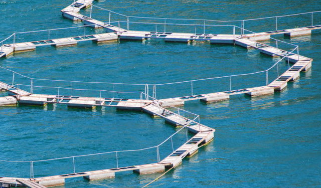 Guide for Good Environmental Practices in Aquaculture