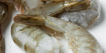 Thai Union Group revolutionises the shrimp industry