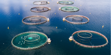 Launch of the First Mediterranean Restorative Aquaculture Centre Announced at Global Seafood Expo 2024