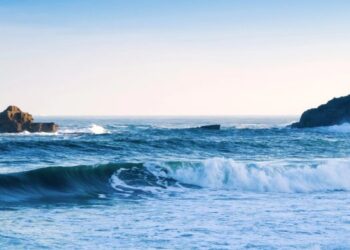 Microplastic pollution, a global challenge