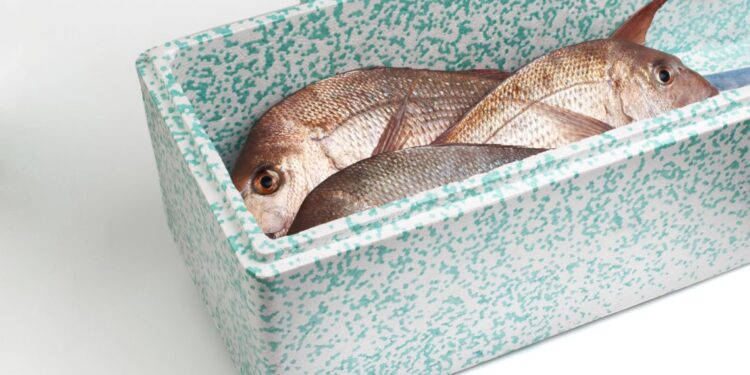 Packaging revolution for the fishing industry
