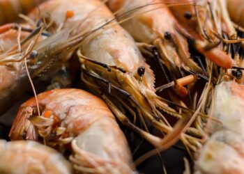 Rabobank predicts slow global shrimp market recovery