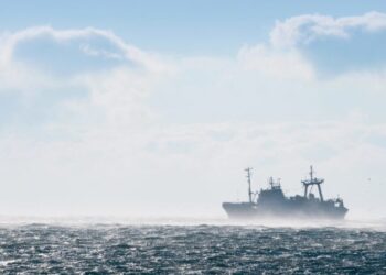 e-FishMed project supports the fight against IUU fishing in the Mediterranean