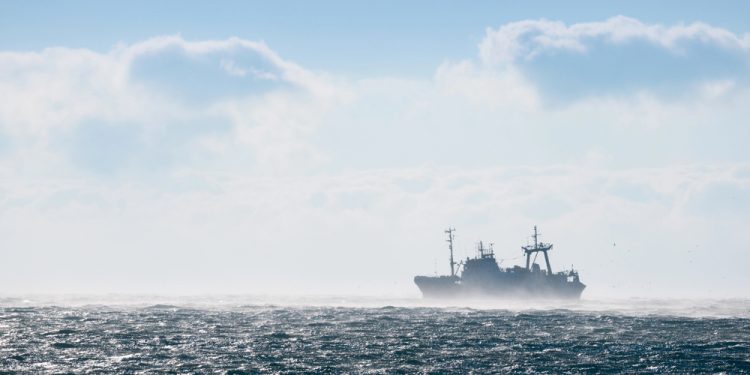 e-FishMed project supports the fight against IUU fishing in the Mediterranean