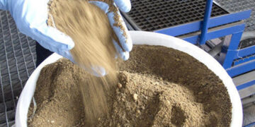 Banana Peels: From Waste to Fish Feed