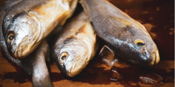 Research shows link between emotions and fish consumption