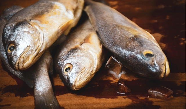 Research shows link between emotions and fish consumption