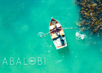 Fish With A Story by ABALOBI Pioneering sustainable fisheries with community-led technologies