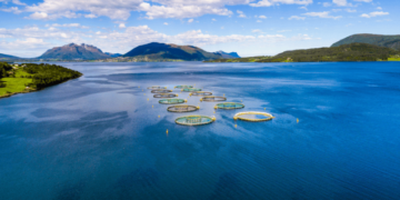 Aquaculture. Demand improves and costs normalise