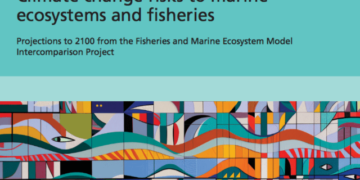 FAO, climate risks could impact fish biomass