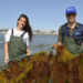 FAO’s Multifaceted Efforts to Revive the Bizerte Lagoon’s Ecosystem and Community for a Sustainable Blue Transition