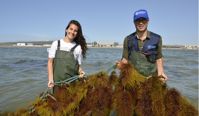 FAO’s Multifaceted Efforts to Revive the Bizerte Lagoon’s Ecosystem and Community for a Sustainable Blue Transition
