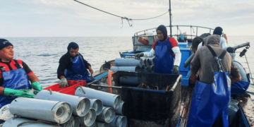 New MSC funding to support sustainable fisheries