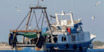 Recovery of fish stocks in the Mediterranean positive results of the management plan