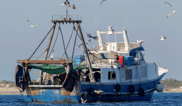 Recovery of fish stocks in the Mediterranean positive results of the management plan
