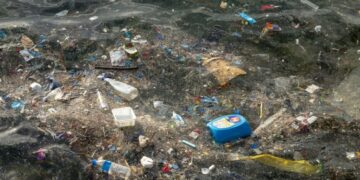 Science and Fisheries together to tackle the threat of marine litter